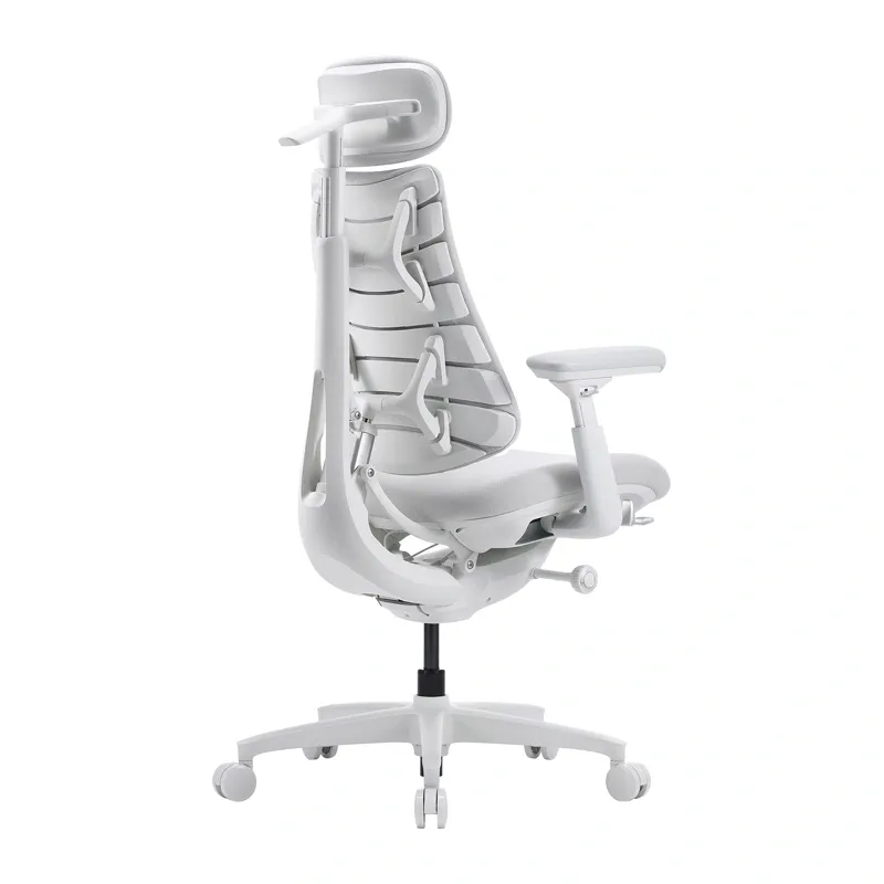LiberNovo Omni GEN 45 cm Ergonomic Chair (White)